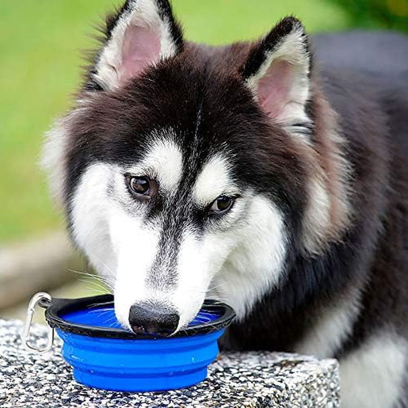 Large Collapsible Dog Bowls - 2 Pack, 34 Oz Foldable Travel Bowls for Pets