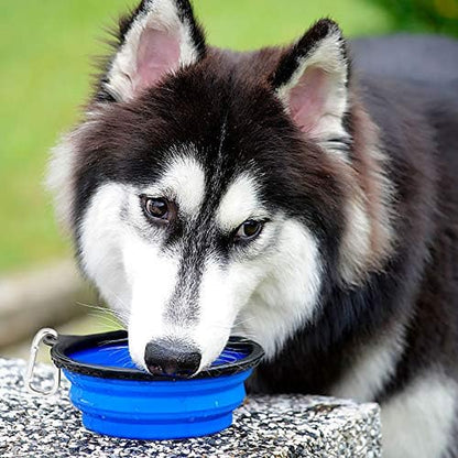 Large Collapsible Dog Bowls - 2 Pack, 34 Oz Foldable Travel Bowls for Pets