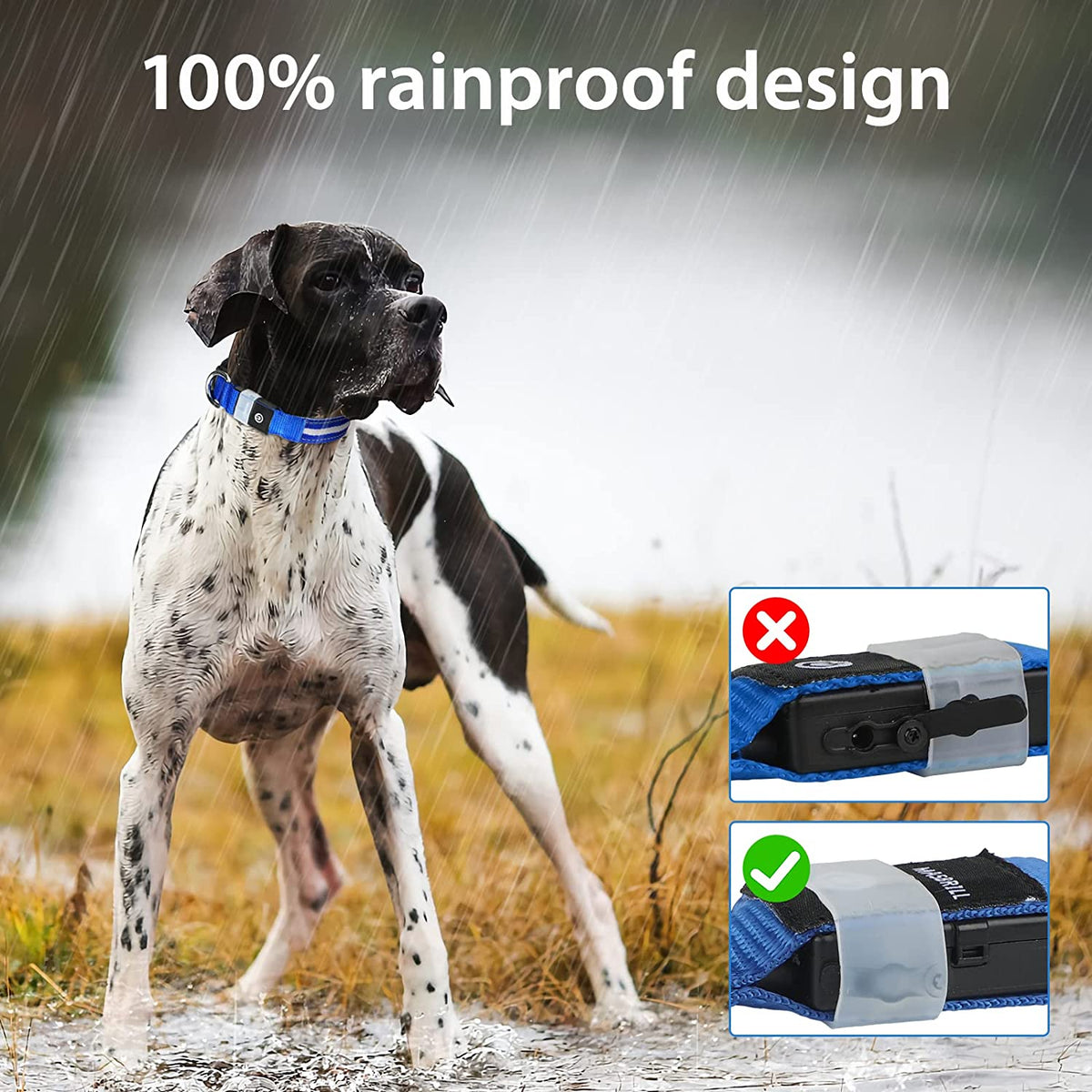 Rechargeable Water-Resistant LED Dog Collar for Night Walking with Flashing Glow