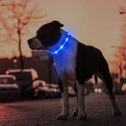 Rechargeable Water-Resistant LED Dog Collar for Night Walking with Flashing Glow