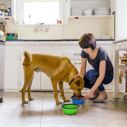 Large Collapsible Dog Bowls - 2 Pack, 34 Oz Foldable Travel Bowls for Pets