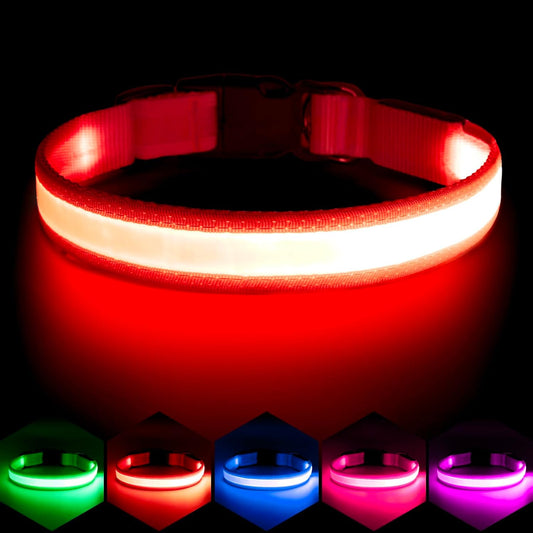 Adjustable LED Dog Collar with USB Rechargeable Super Bright Safety Light - Medium Size, Red