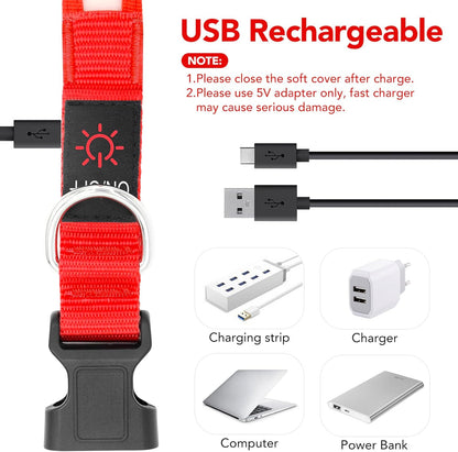 Adjustable LED Dog Collar with USB Rechargeable Super Bright Safety Light - Medium Size, Red