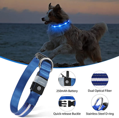 Rechargeable Water-Resistant LED Dog Collar for Night Walking with Flashing Glow