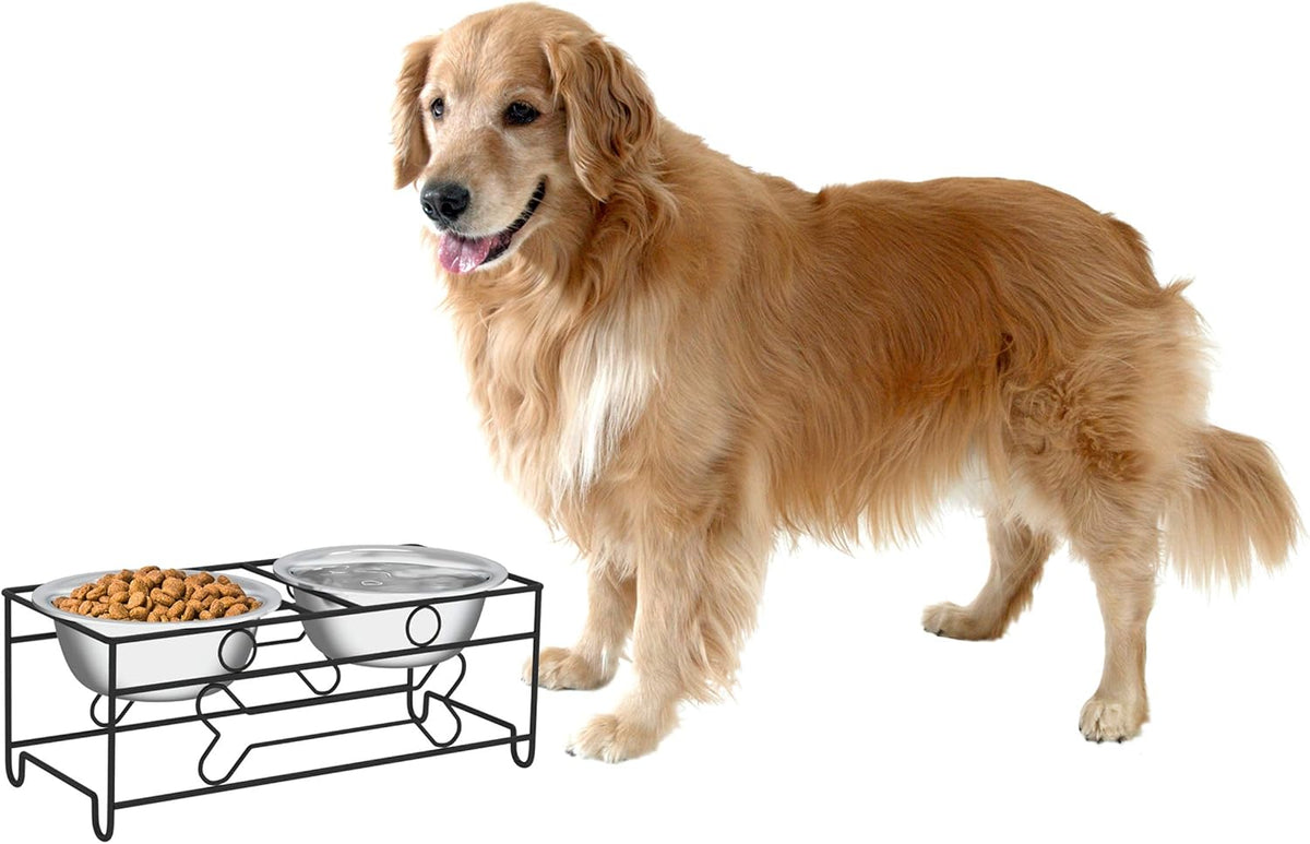Set of 2 Stainless Steel Dog Bowls - 40 Oz Pet Bowls with Decorative Stand - Metal Food and Water Dishes for Large Dogs - Essential Puppy Accessories (Silver/Black)