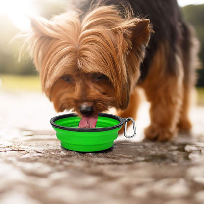 Large Collapsible Dog Bowls - 2 Pack, 34 Oz Foldable Travel Bowls for Pets