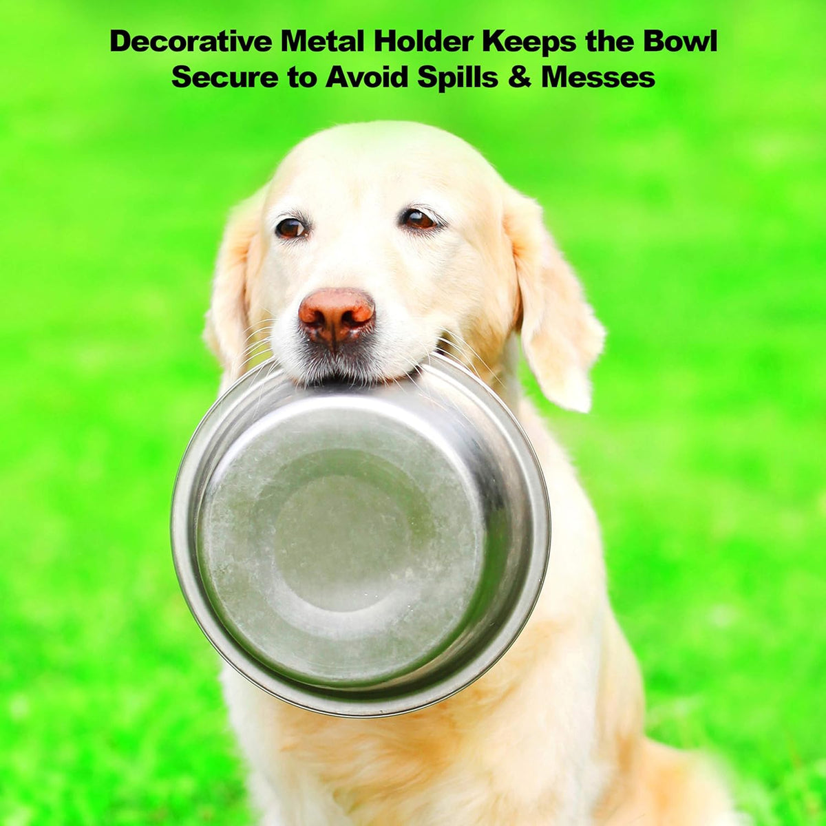 Set of 2 Stainless Steel Dog Bowls - 40 Oz Pet Bowls with Decorative Stand - Metal Food and Water Dishes for Large Dogs - Essential Puppy Accessories (Silver/Black)