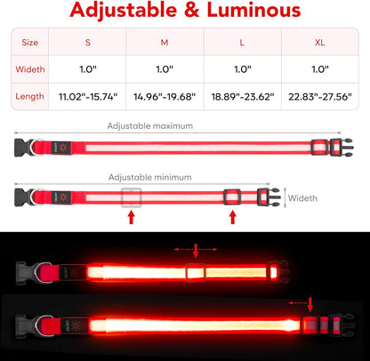 Adjustable LED Dog Collar with USB Rechargeable Super Bright Safety Light - Medium Size, Red