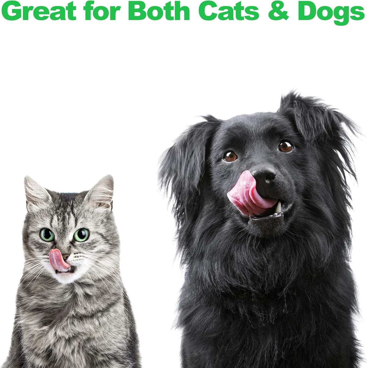 Set of 2 Stainless Steel Dog Bowls - 40 Oz Pet Bowls with Decorative Stand - Metal Food and Water Dishes for Large Dogs - Essential Puppy Accessories (Silver/Black)